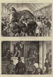 The Sale of a Menagerie